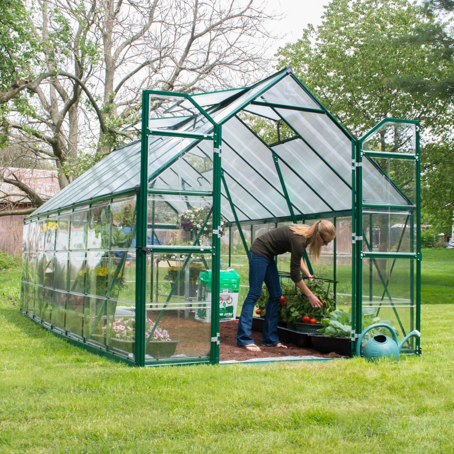 Canopia by Palram 8 x 16 Balance Green Greenhouse