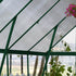 Canopia by Palram 8 x 20 Balance Green Greenhouse
