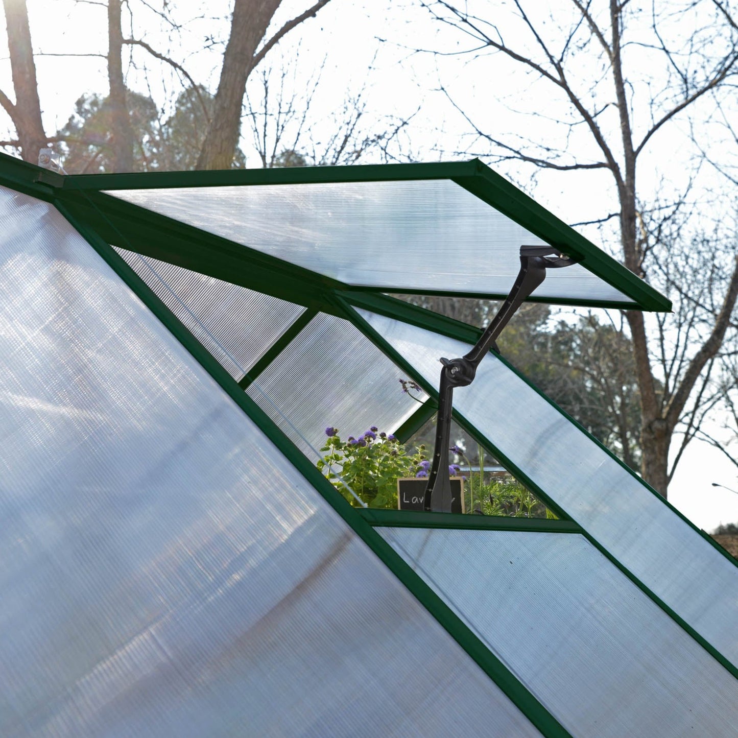 Canopia by Palram 8 x 12 Balance Green Greenhouse