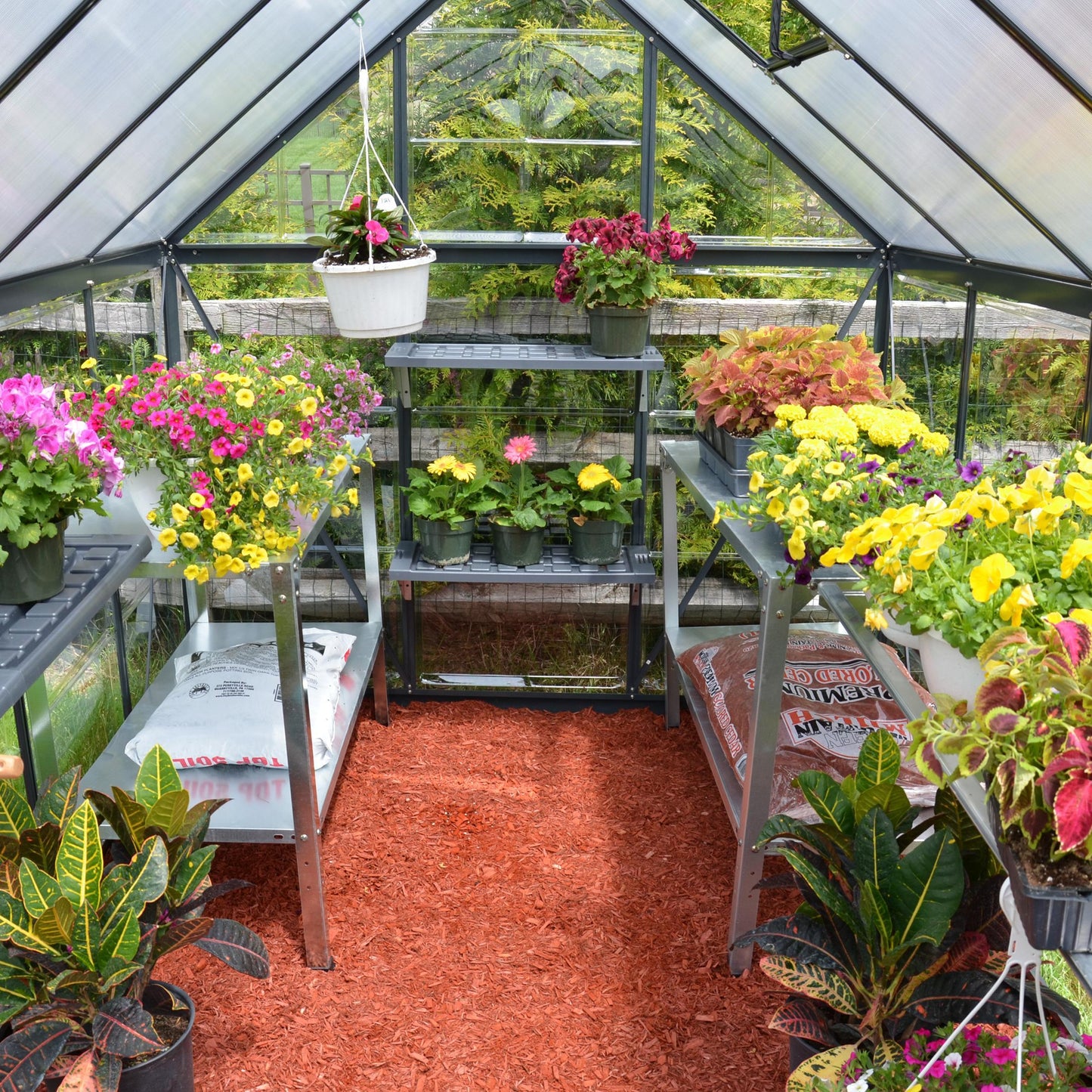 Canopia by Palram 6 x 8 Hybrid Greenhouse Grey
