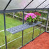 Canopia by Palram 6 x 10 Hybrid Greenhouse Grey
