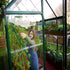 Canopia by Palram 6 x 10 Hybrid Greenhouse Green
