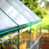 Canopia by Palram 6 x 14 Hybrid Greenhouse Green
