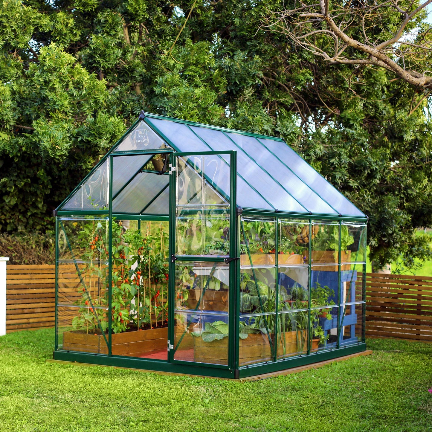 Canopia by Palram 6 x 8 Hybrid Greenhouse Green