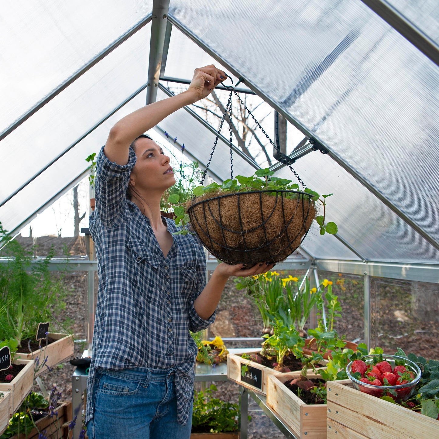 Canopia by Palram 6 x 8 Hybrid Greenhouse Silver