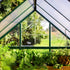 Canopia by Palram 6 x 14 Hybrid Greenhouse Green
