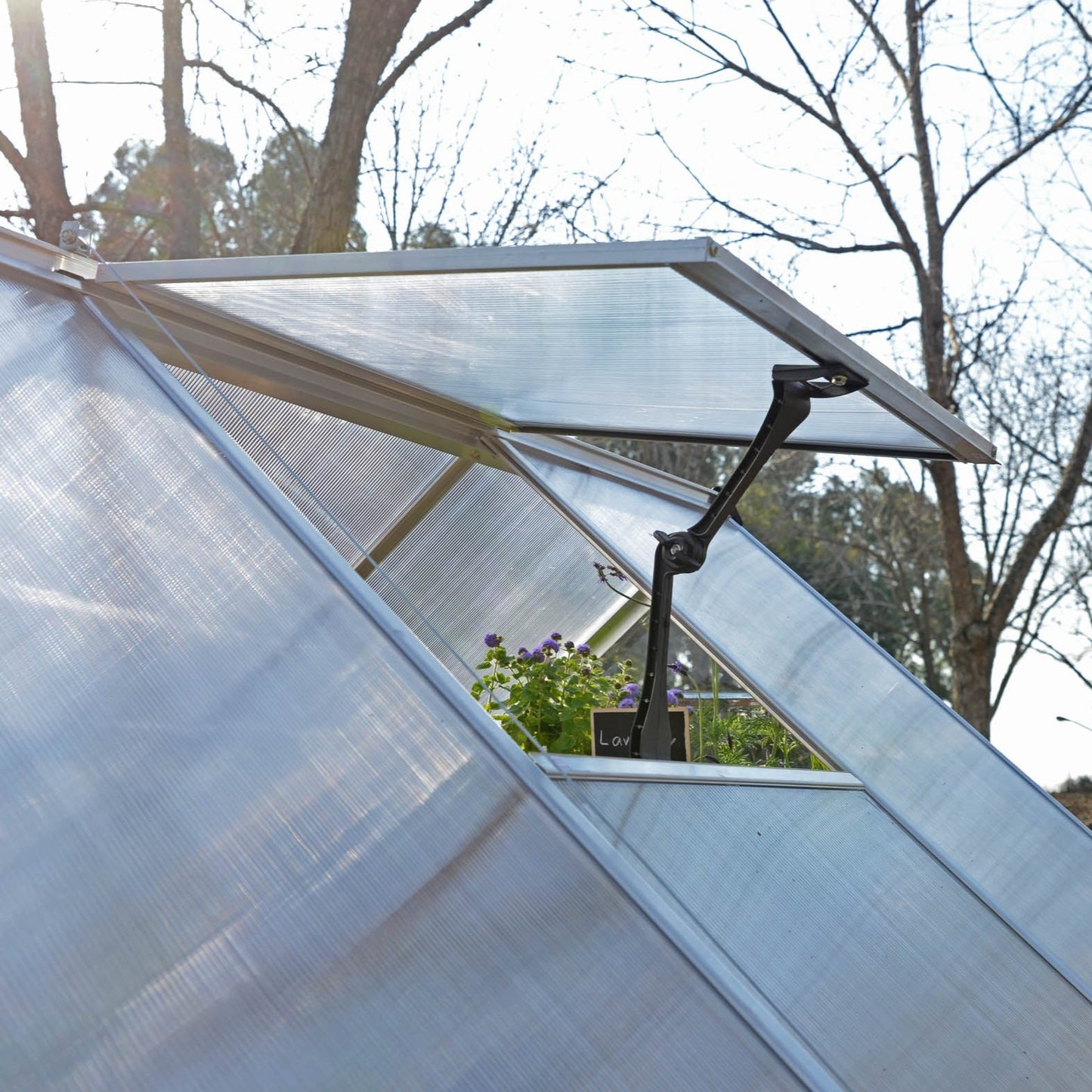 Canopia by Palram 8 x 12 Balance Silver Greenhouse