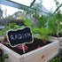 Canopia by Palram 6 x 6 Hybrid Greenhouse Silver

