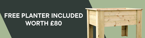 Ready Painted Buildings