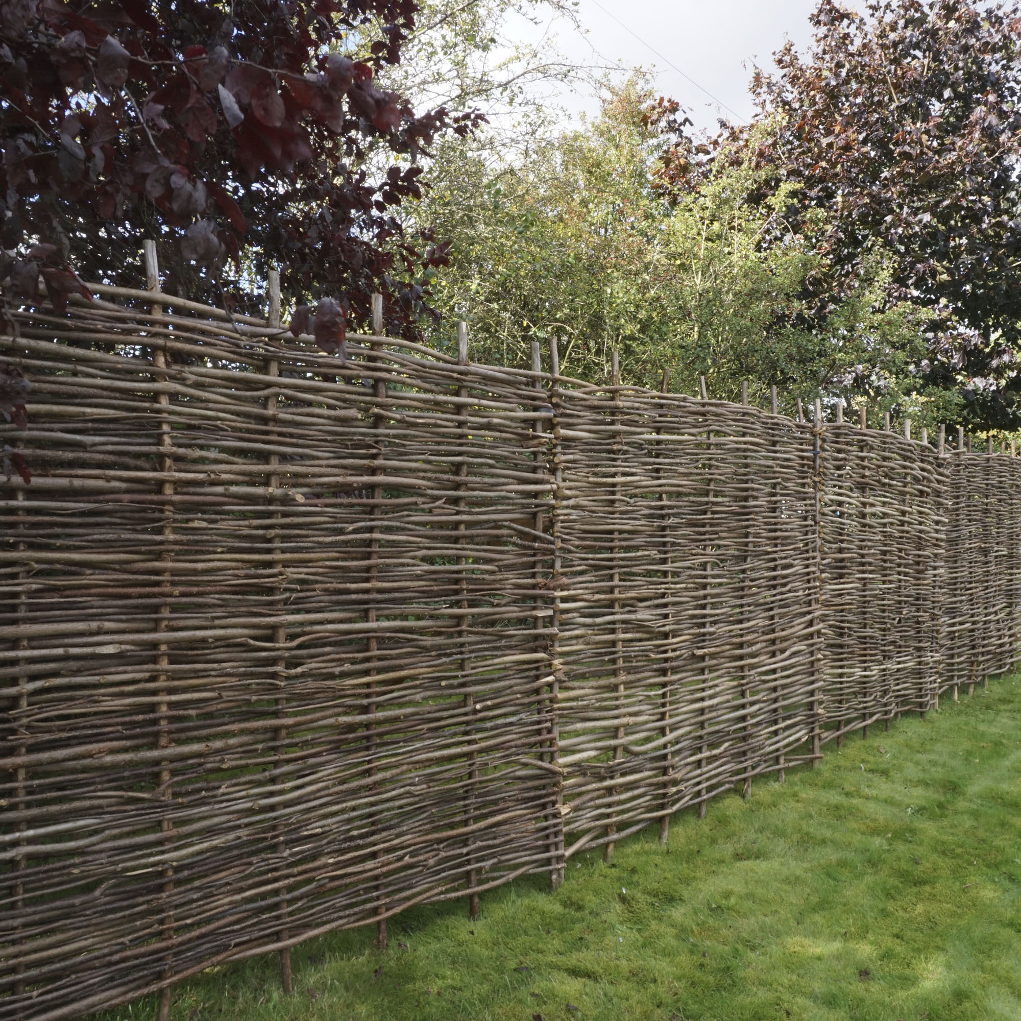 6 x 5 Hazel Wooden Fence Panel