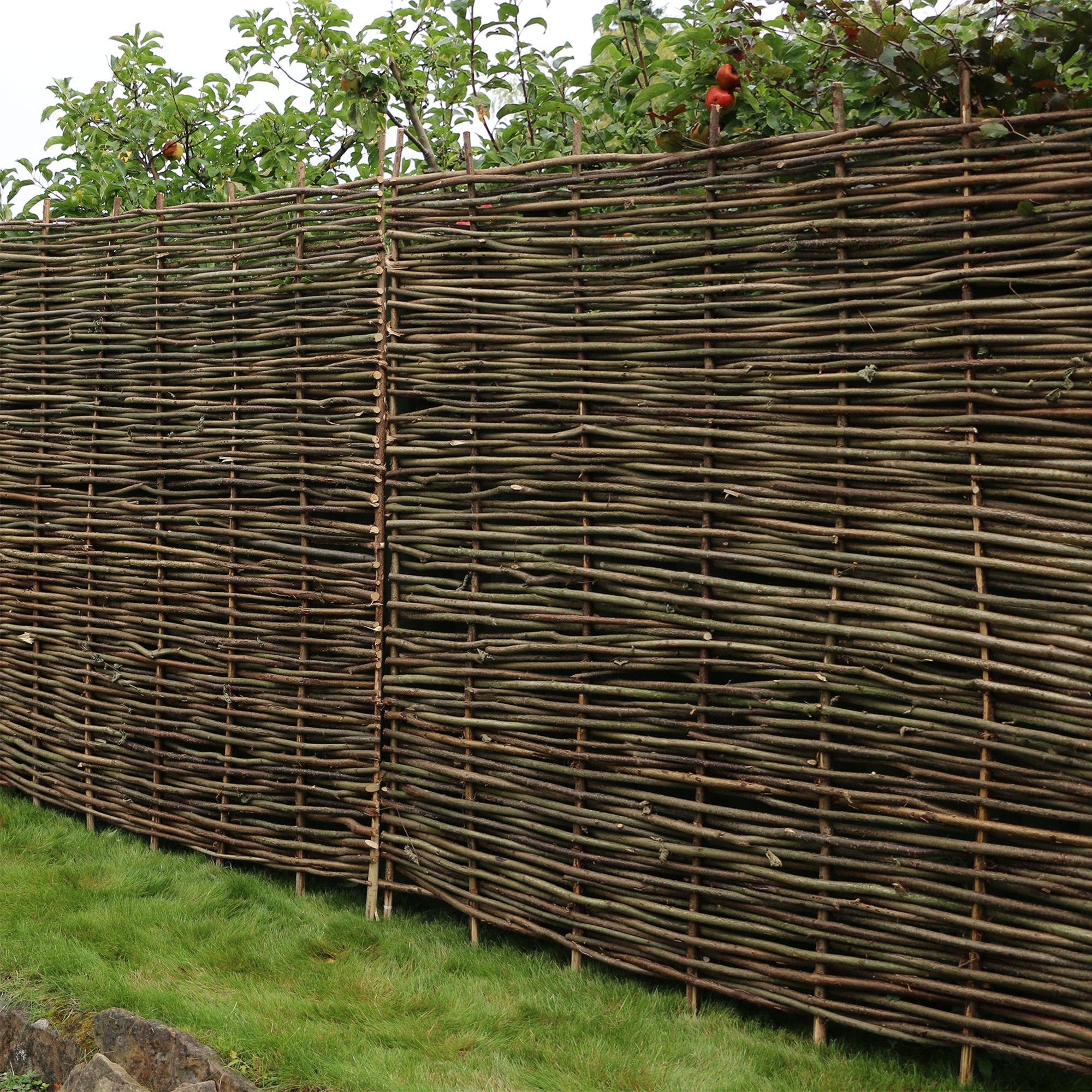 6 x 6 Hazel Wooden Fence Panel