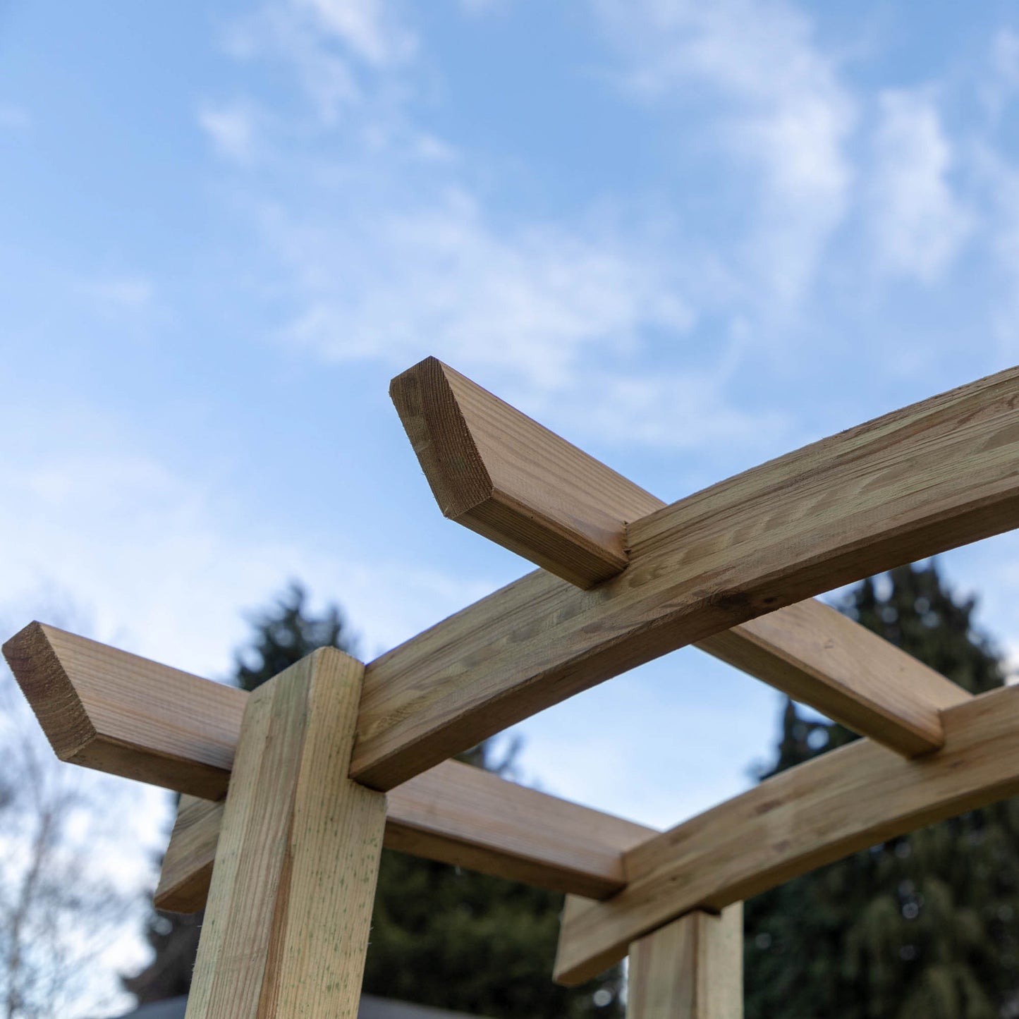 Bow Top Garden Arch