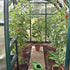 Canopia by Palram EcoGrow 6 x 8 Greenhouse
