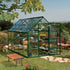 Canopia by Palram Harmony 6 x 10 Green Greenhouse
