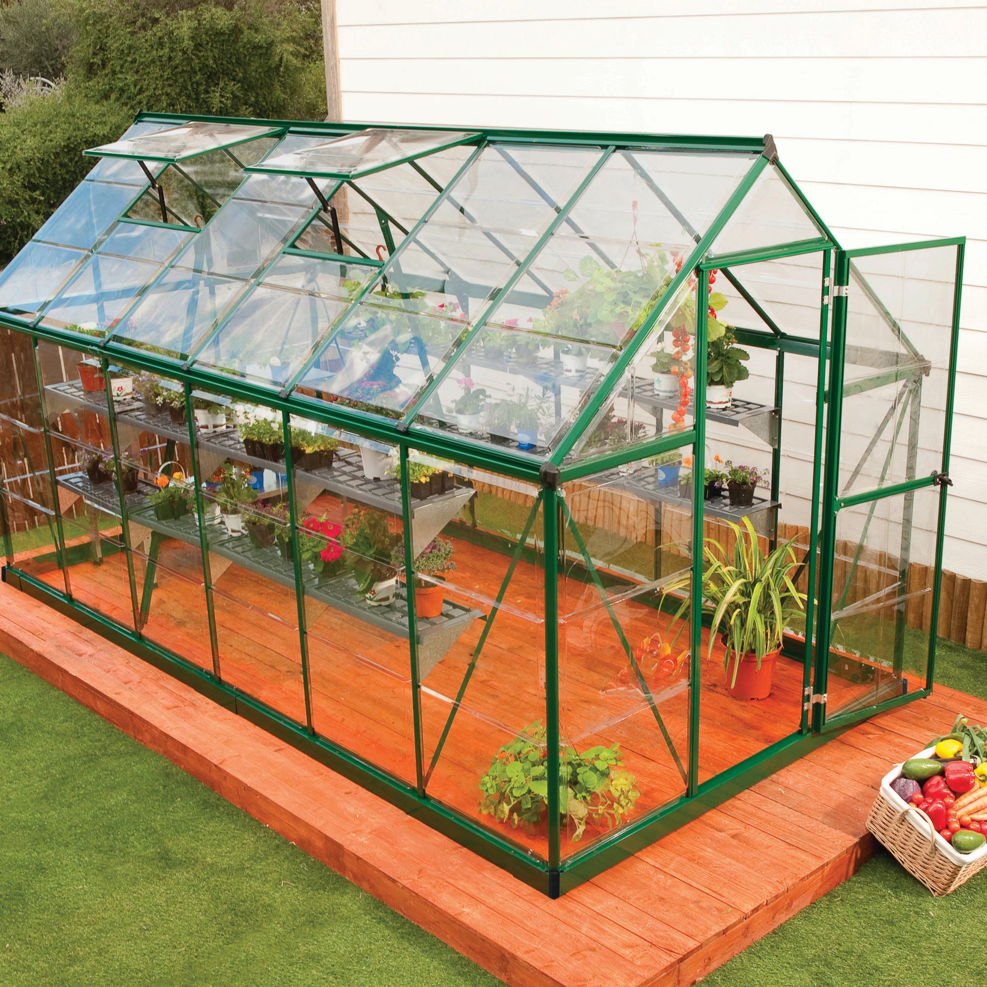 A large greenhouse made up of windows with green framing