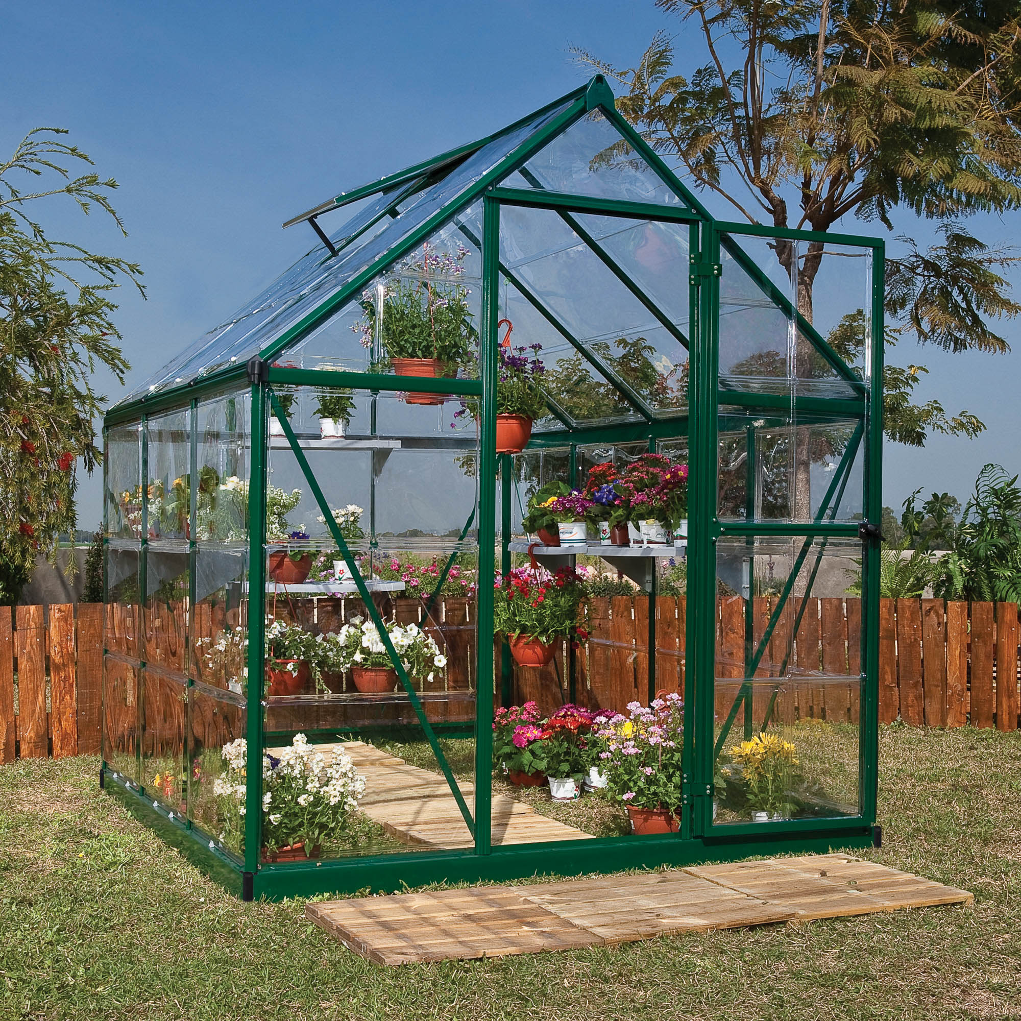 Canopia by Palram Harmony 6 x 6 Green Greenhouse