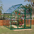 Canopia by Palram Harmony 6 x 8 Green Greenhouse
