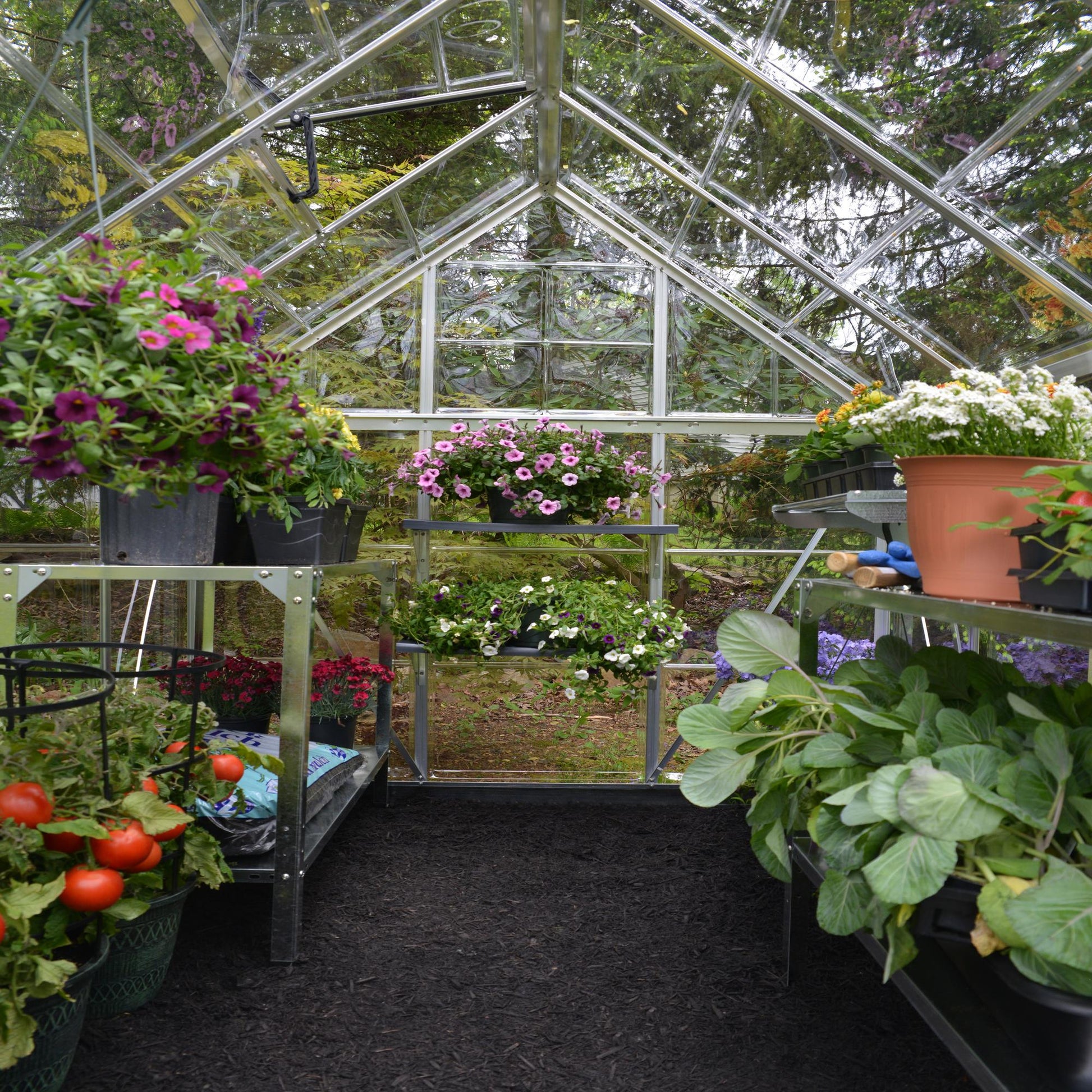 A greenhouse made up of windows with silver metal framing