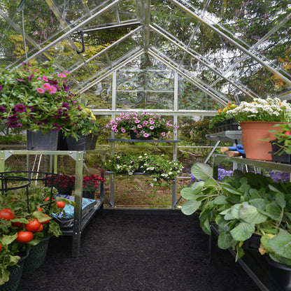 A greenhouse made up of windows with silver metal framing