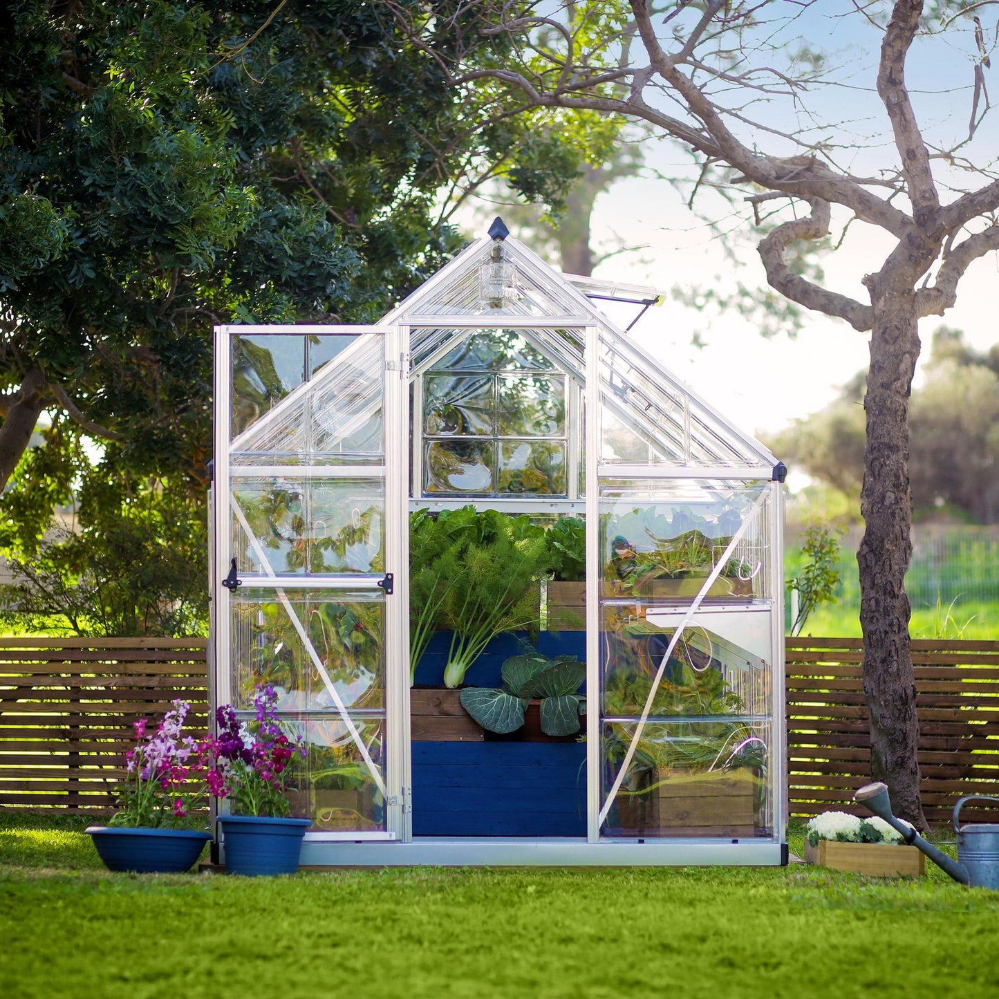 A greenhouse made up of windows with silver metal framing
