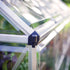 Canopia by Palram Harmony 6 x 14 Silver Greenhouse
