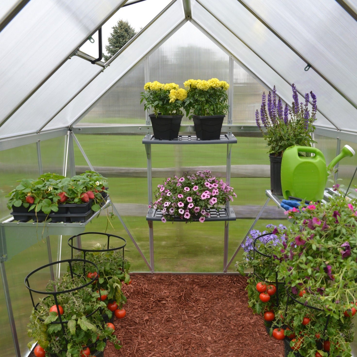 A greenhouse made up of windows with silver metal framing