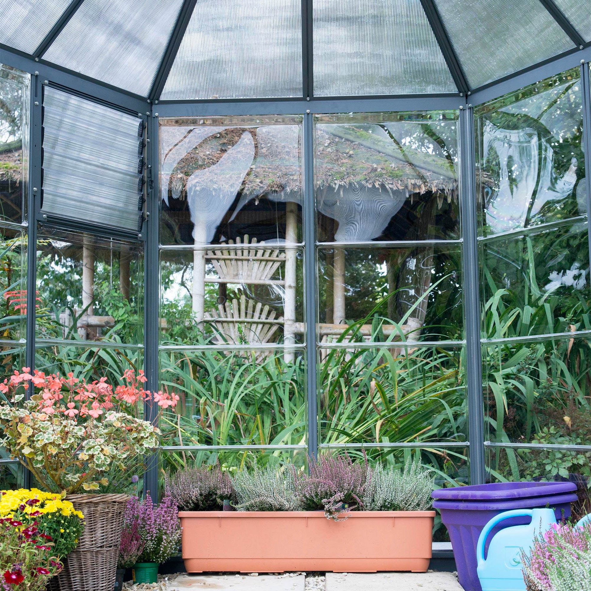 A hexagonal greenhouse with built in shelves and grey metal framing