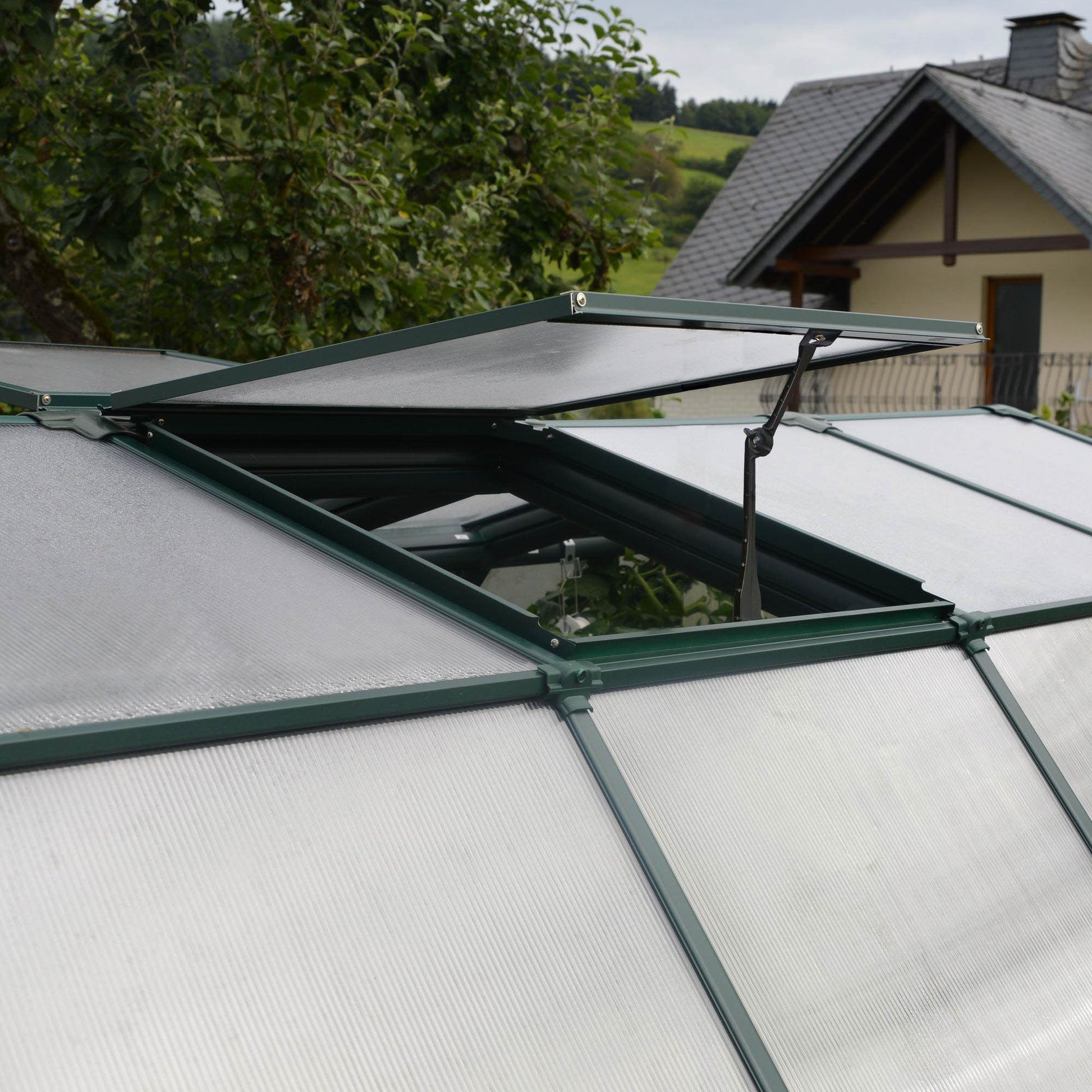greenhouse with an opening roof vent