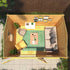 The Juniper 4m x 3m Log Cabin

