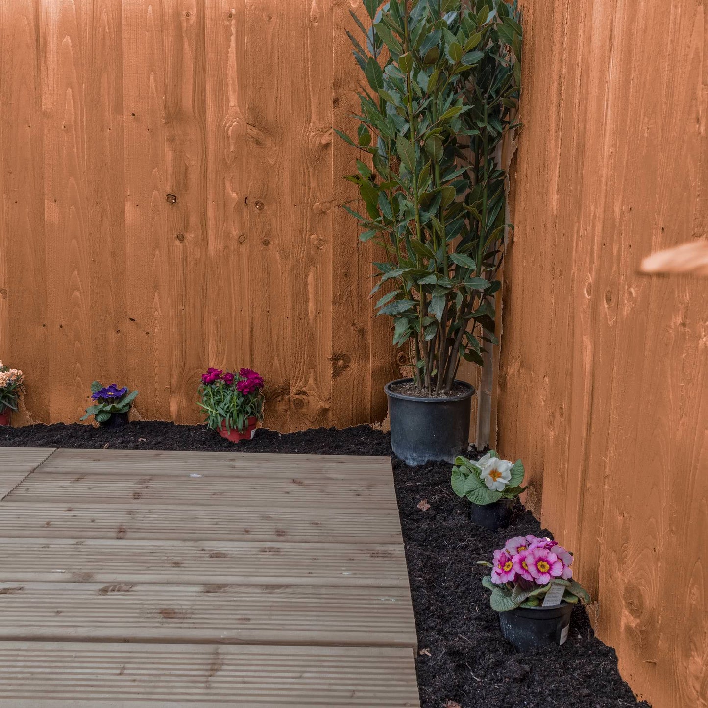 3 x 6 Pressure Treated Feather Edge Fence Panel