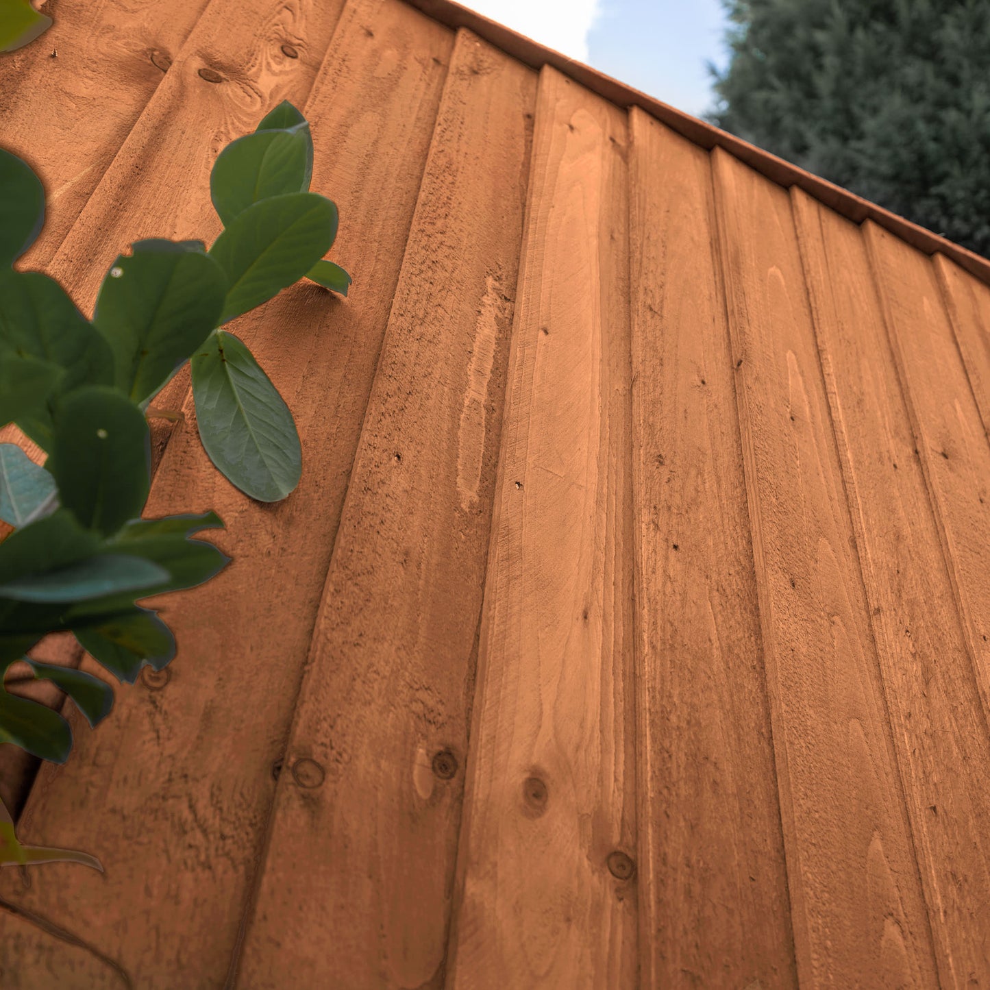 3 x 6 Pressure Treated Feather Edge Fence Panel