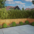 3 x 6 Super Lap Pressure Treated Fence Panel
